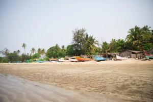 Bild Indien, Morjim Beach Bild Indien, Morjim Beach