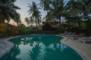 Bild Indien, Pool Bild Indien, Pool
